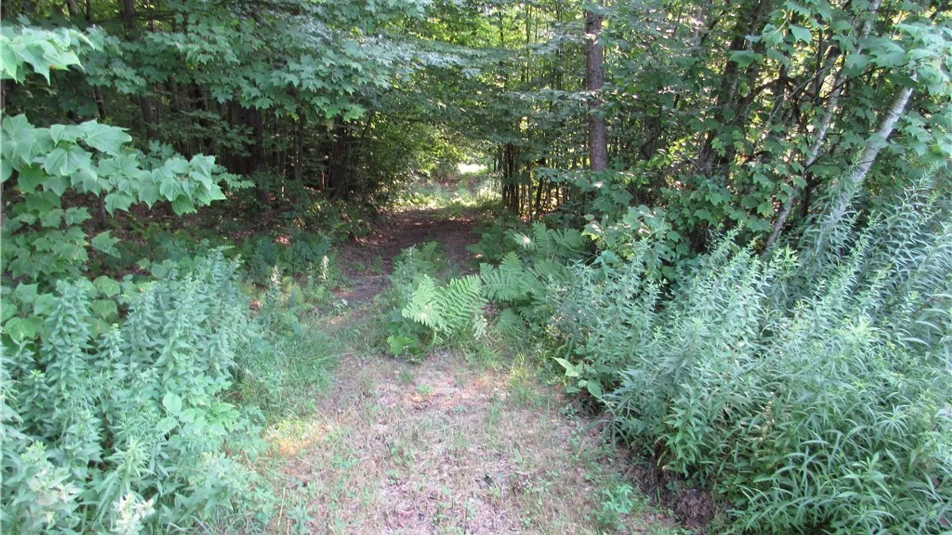 Property at 7588 Quaker Hill Road, Western, NY 13303 46