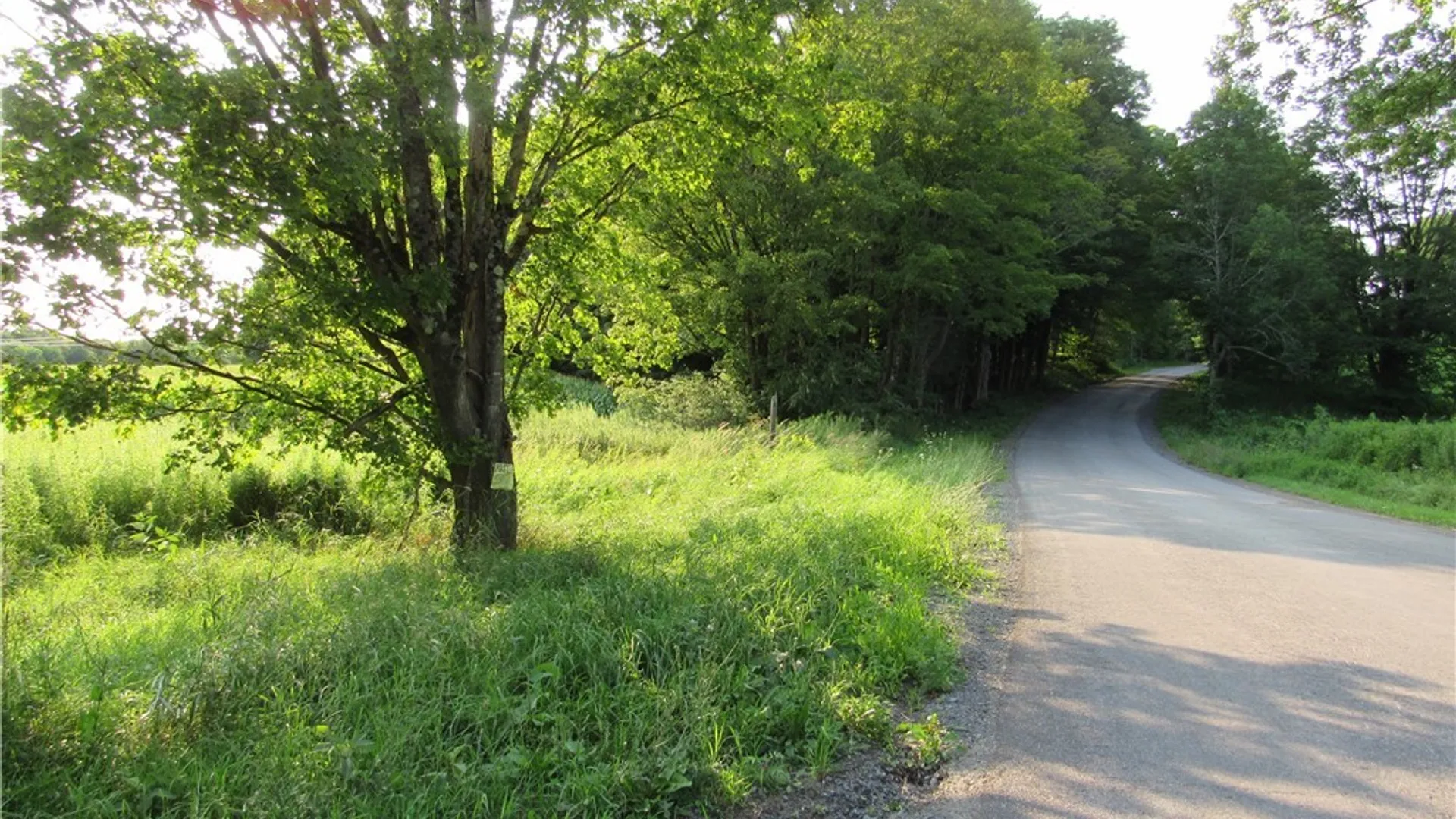 Property at 7588 Quaker Hill Road, Western, NY 13303 49