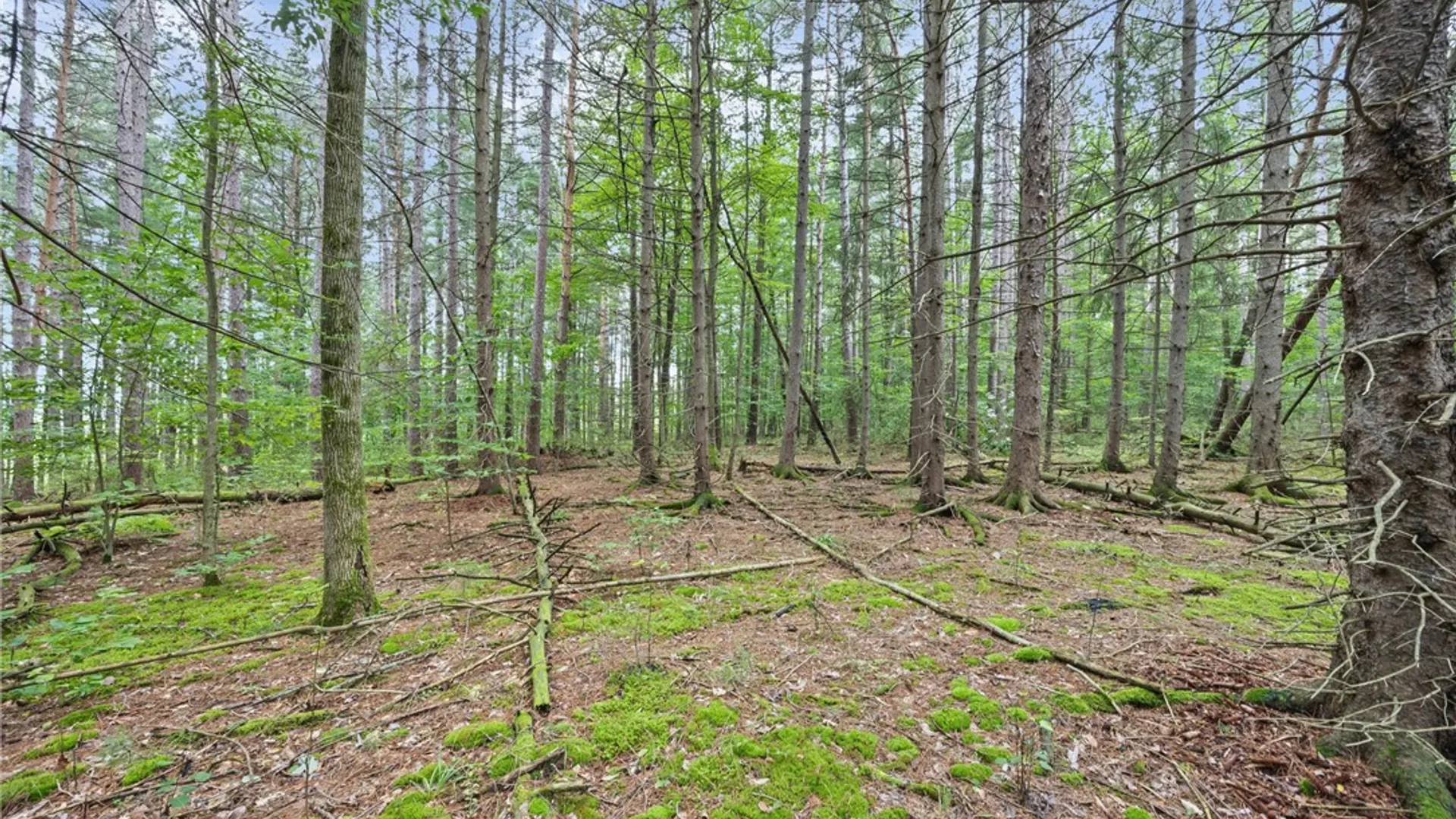 Property at 700-728 Big Oak Lane, Burns, NY 14822 30