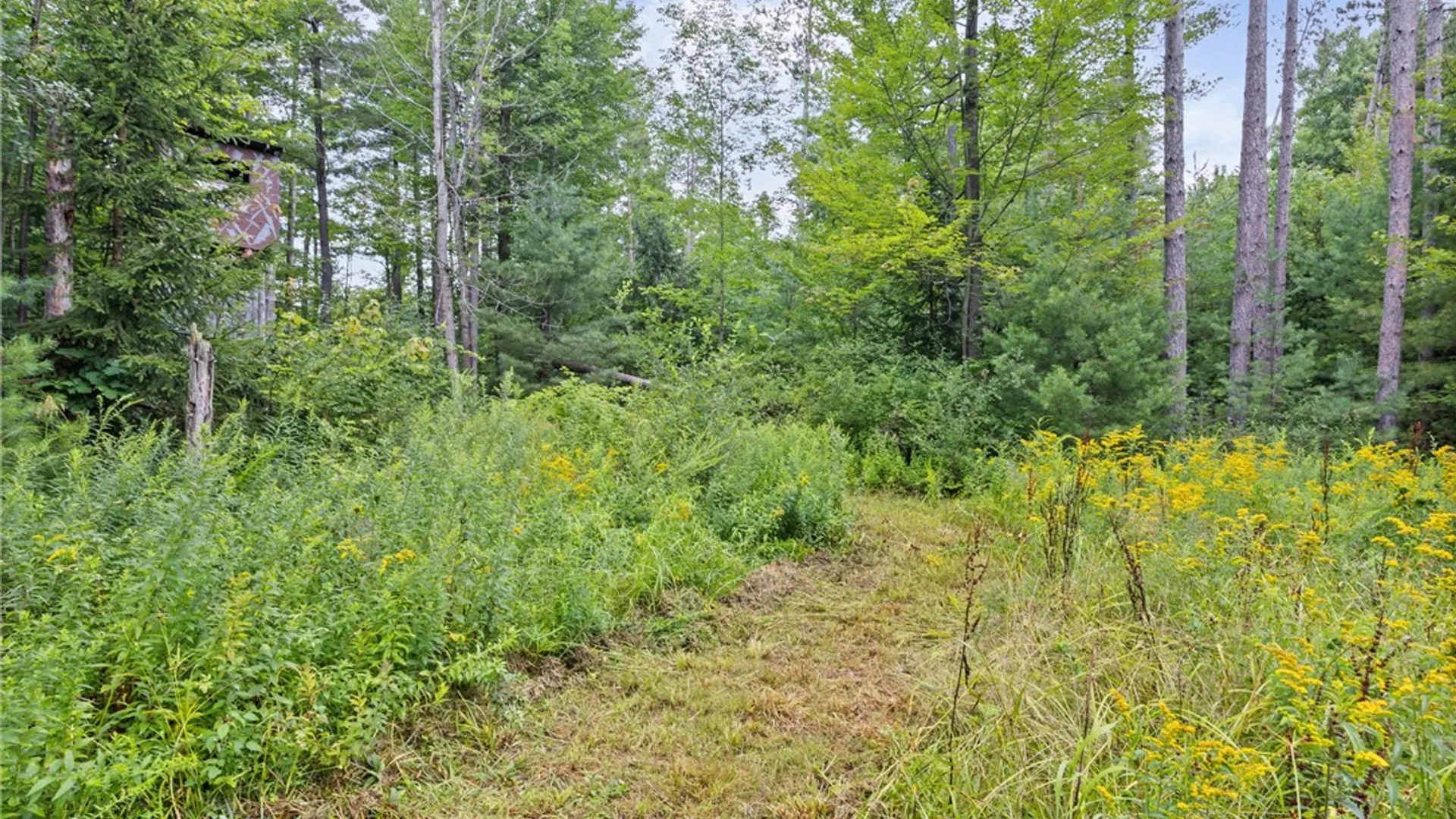 Property at 700-728 Big Oak Lane, Burns, NY 14822 32