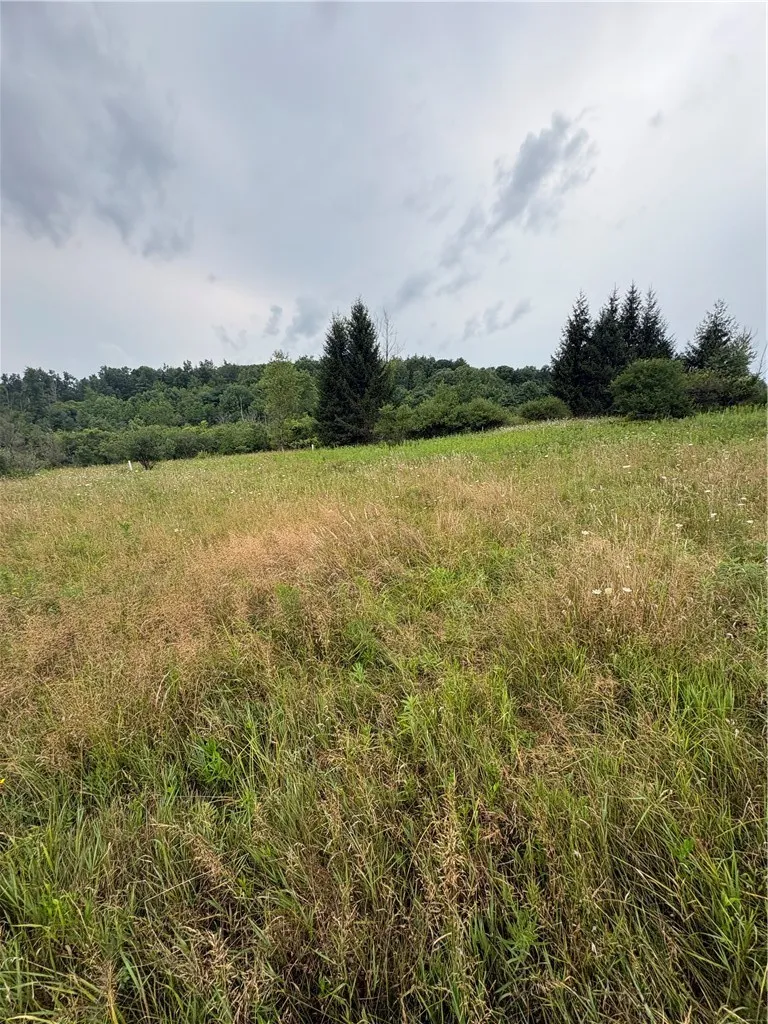 Property at 8605 - Lot 1 County Route 96, Wayne, NY 14840