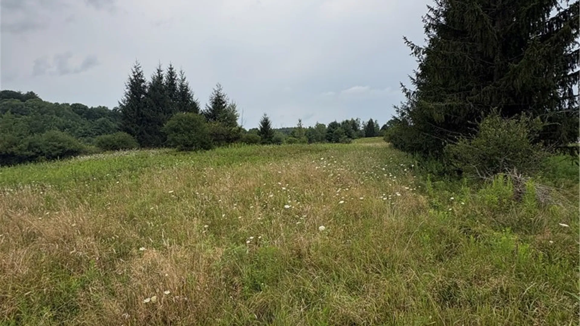 Property at 8605 - Lot 1 County Route 96, Wayne, NY 14840 3