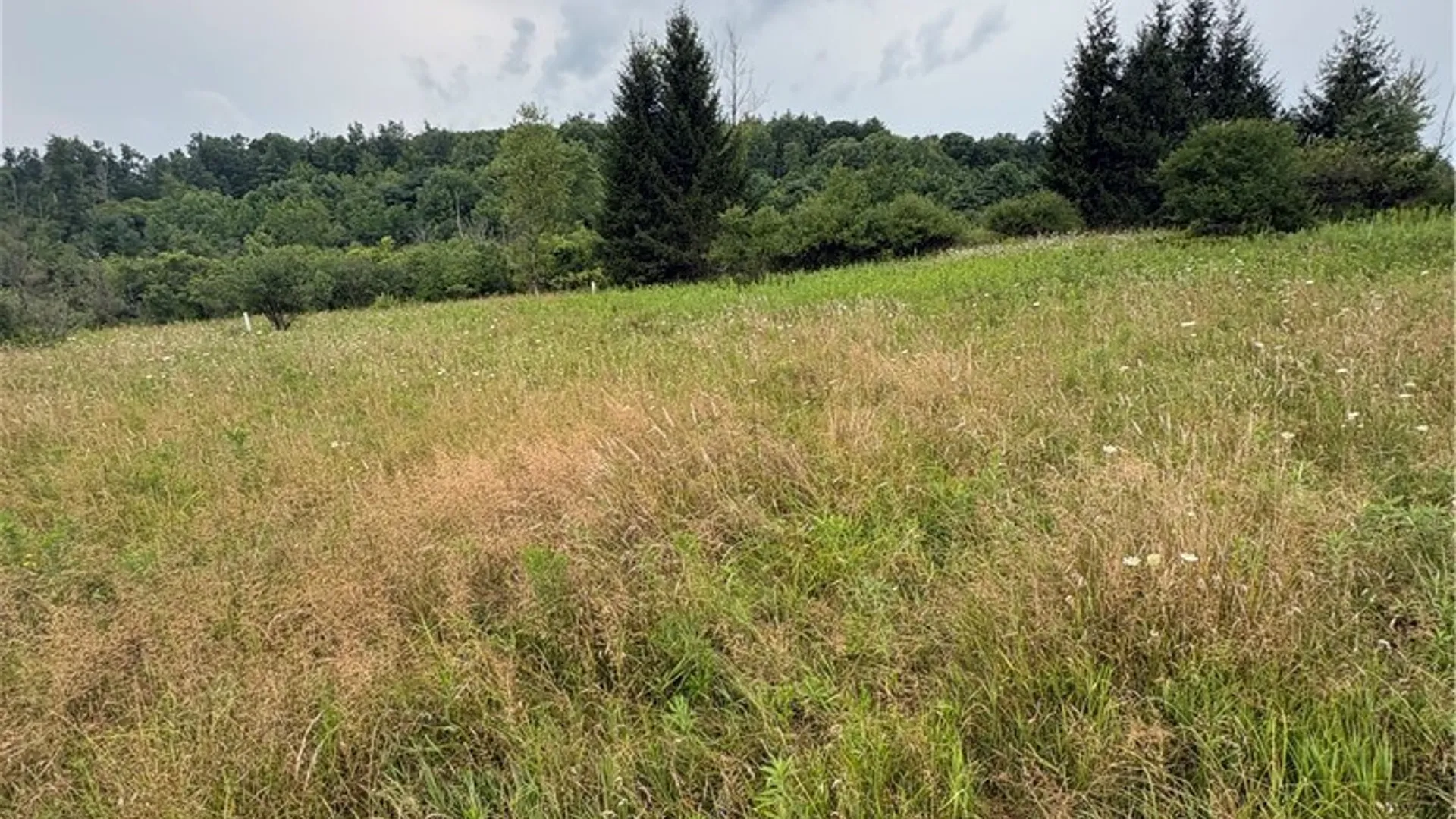 Property at 8605 - Lot 2 County Route 96, Wayne, NY 14840 3