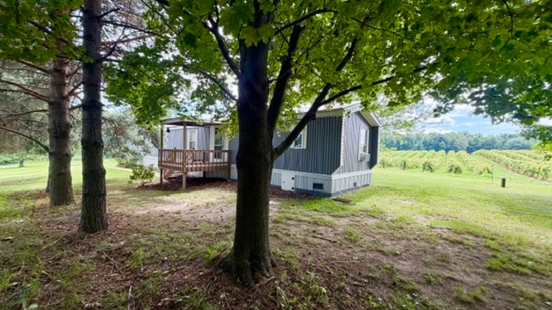 Property at 337 Dundee Glenora Road, Starkey, NY 14837 43