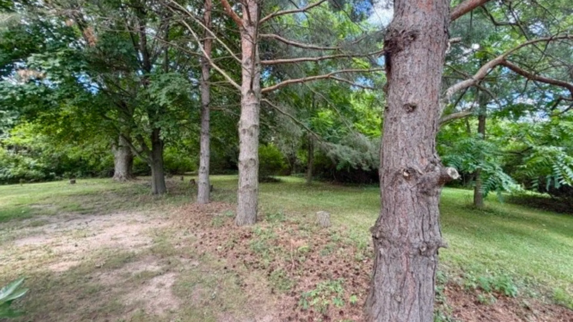 Property at 337 Dundee Glenora Road, Starkey, NY 14837 44