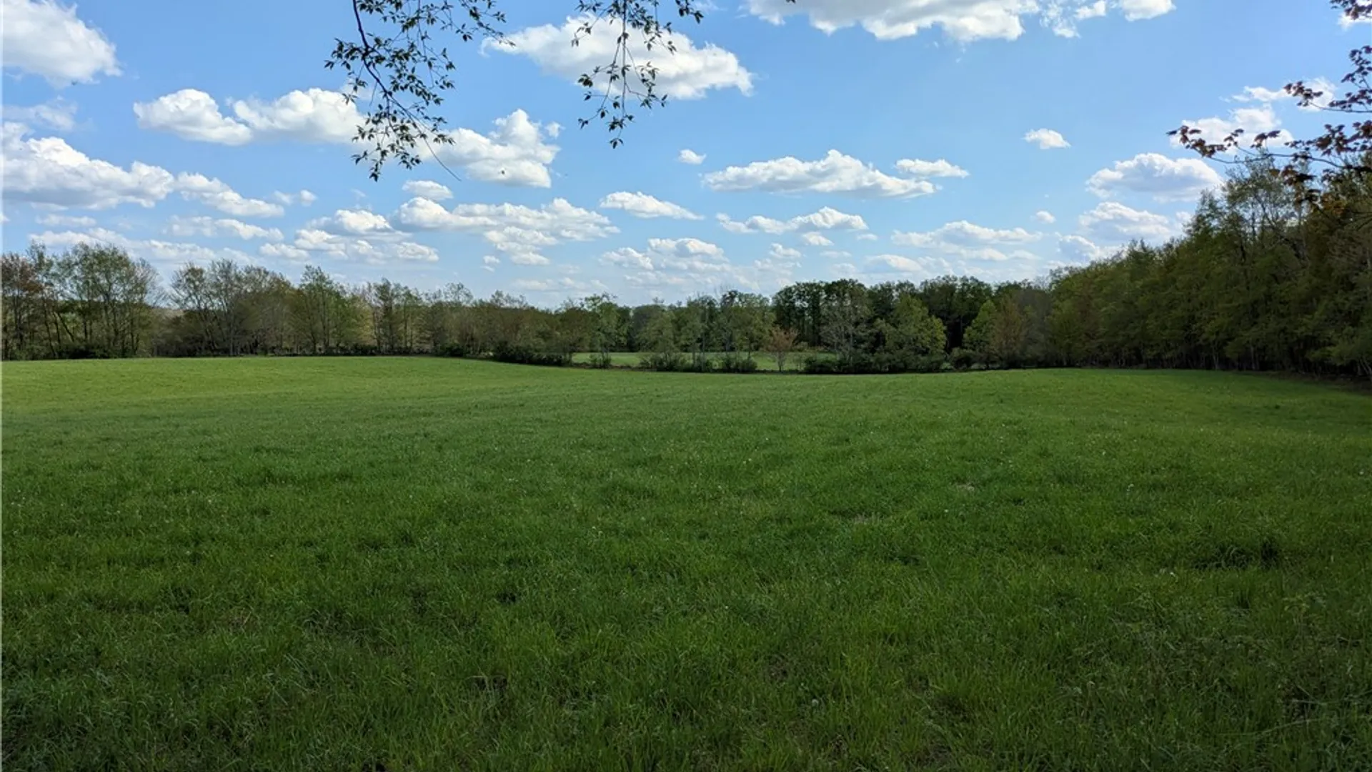 Property at 396 Austin Road, Jefferson, NY 12093 42