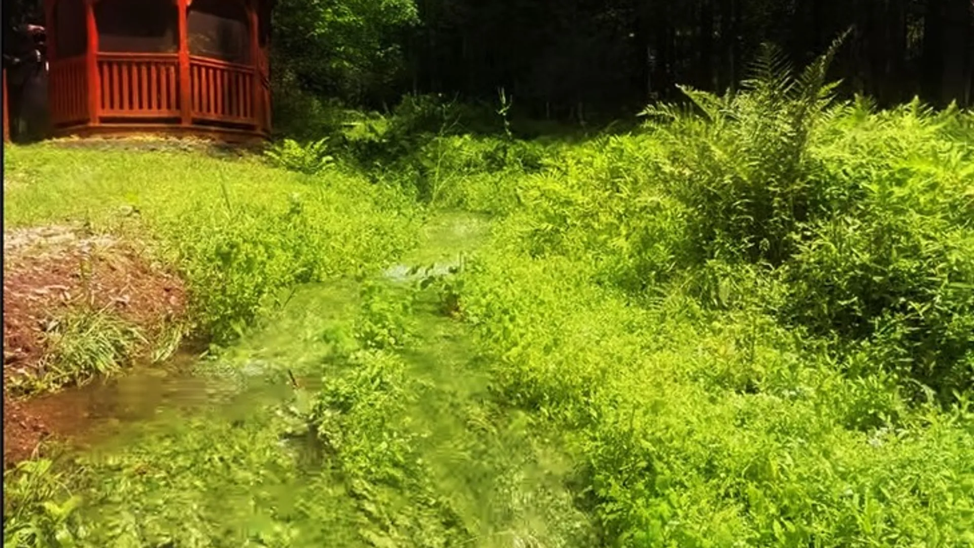 Property at 3688 Weaver Hollow Road, Andes, NY 12455 22