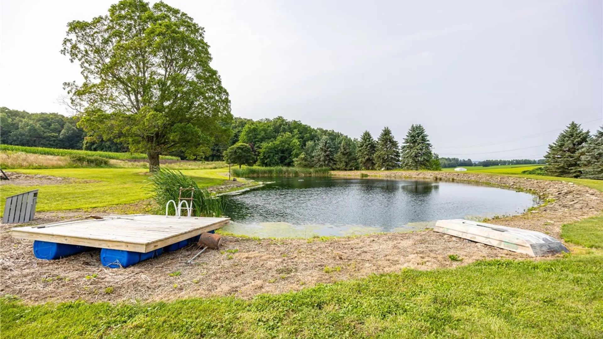 Property at 8897 Strutt Street, Springwater, NY 14572 37