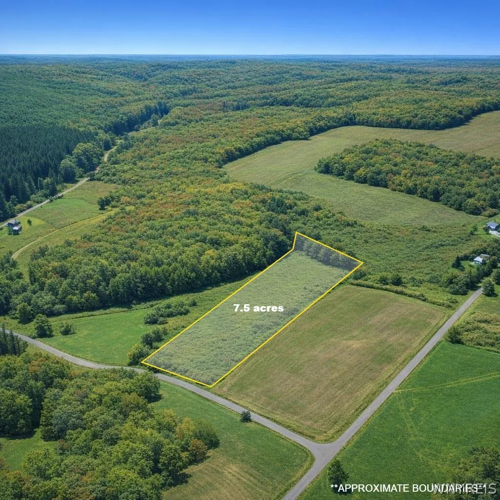 Property at 9525 Dewey Road, New Hudson, NY 14714