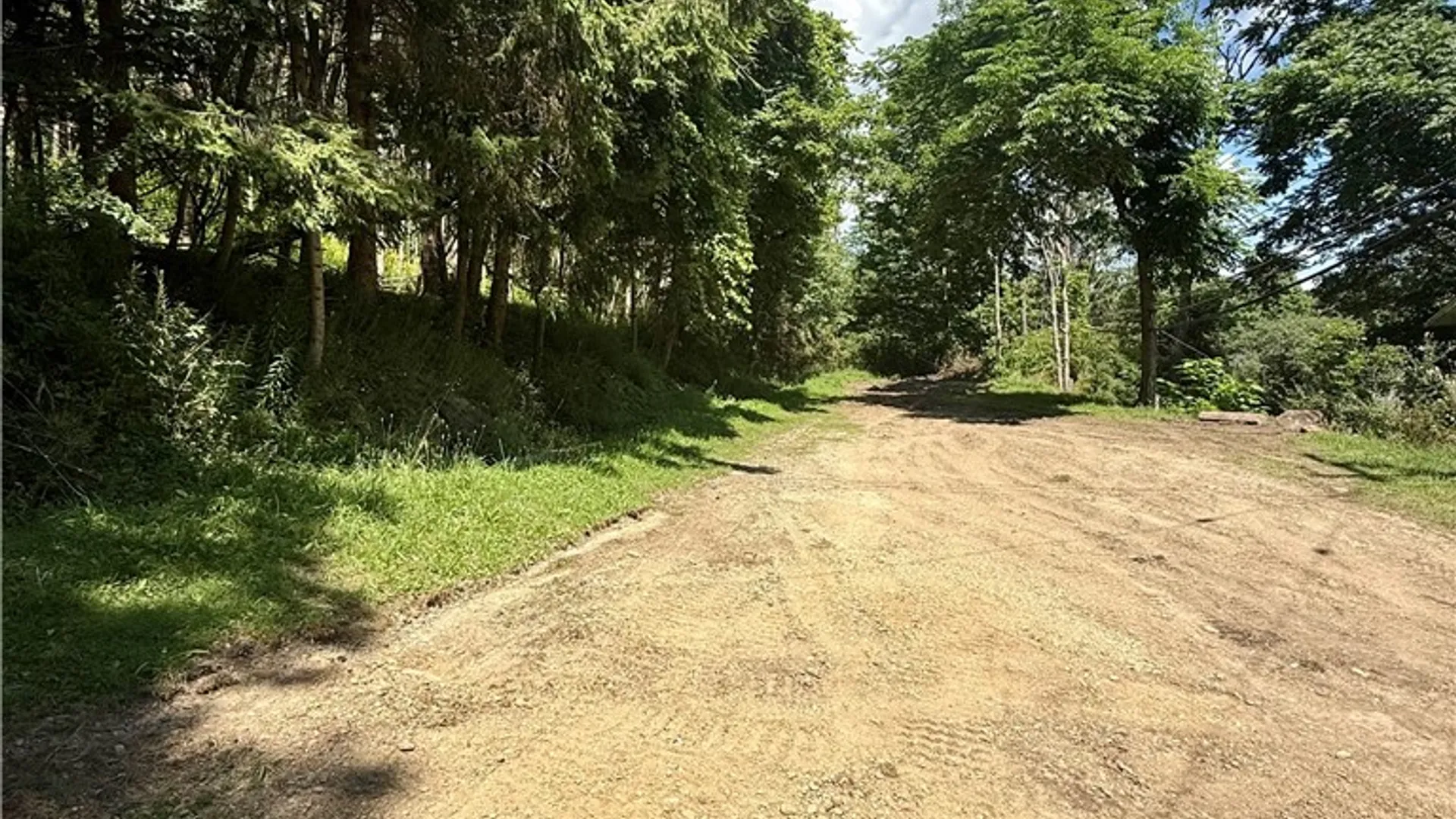Property at 40 S Main Street, Alfred, NY 14802 6