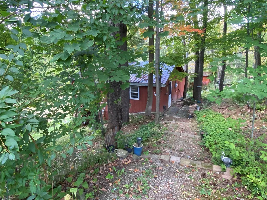 Property at 11035 Schwingle Road, Prattsburgh, NY 14873