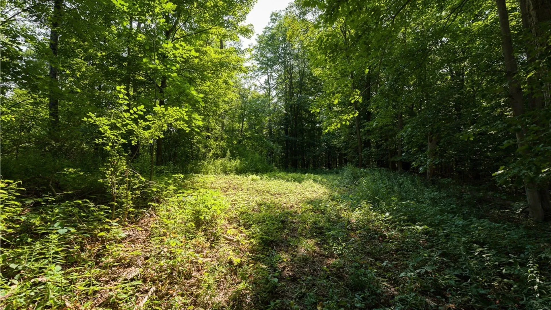 Property at Depot Street, Wilna, NY 13665 18