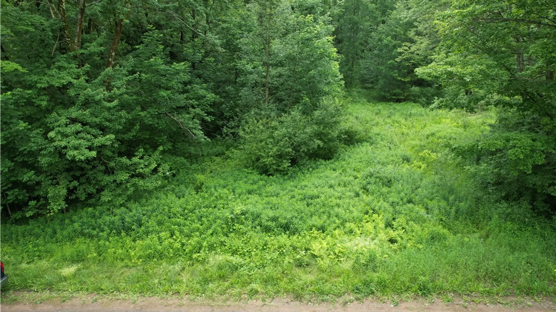 Property at 117 Albion Cross Road, Parish, NY 13131 3