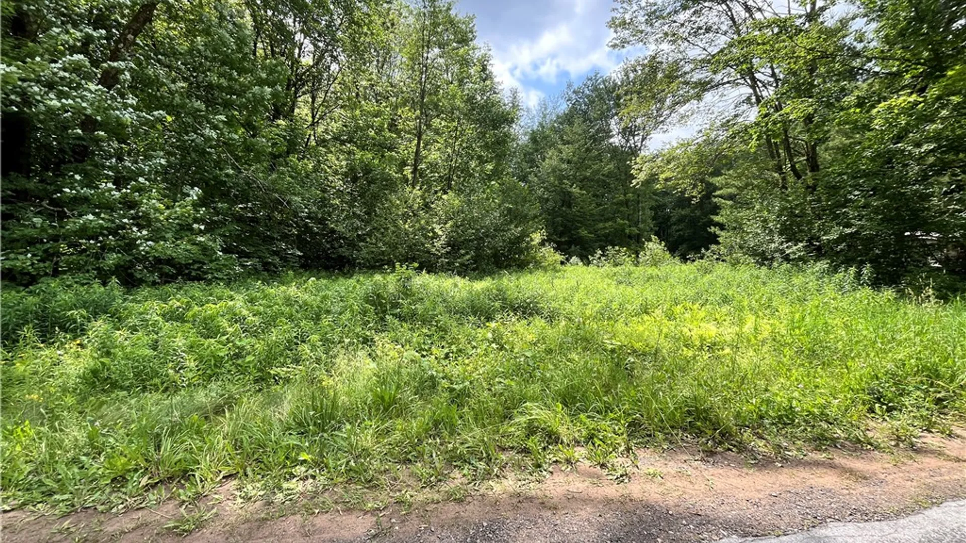Property at 117 Albion Cross Road, Parish, NY 13131 9