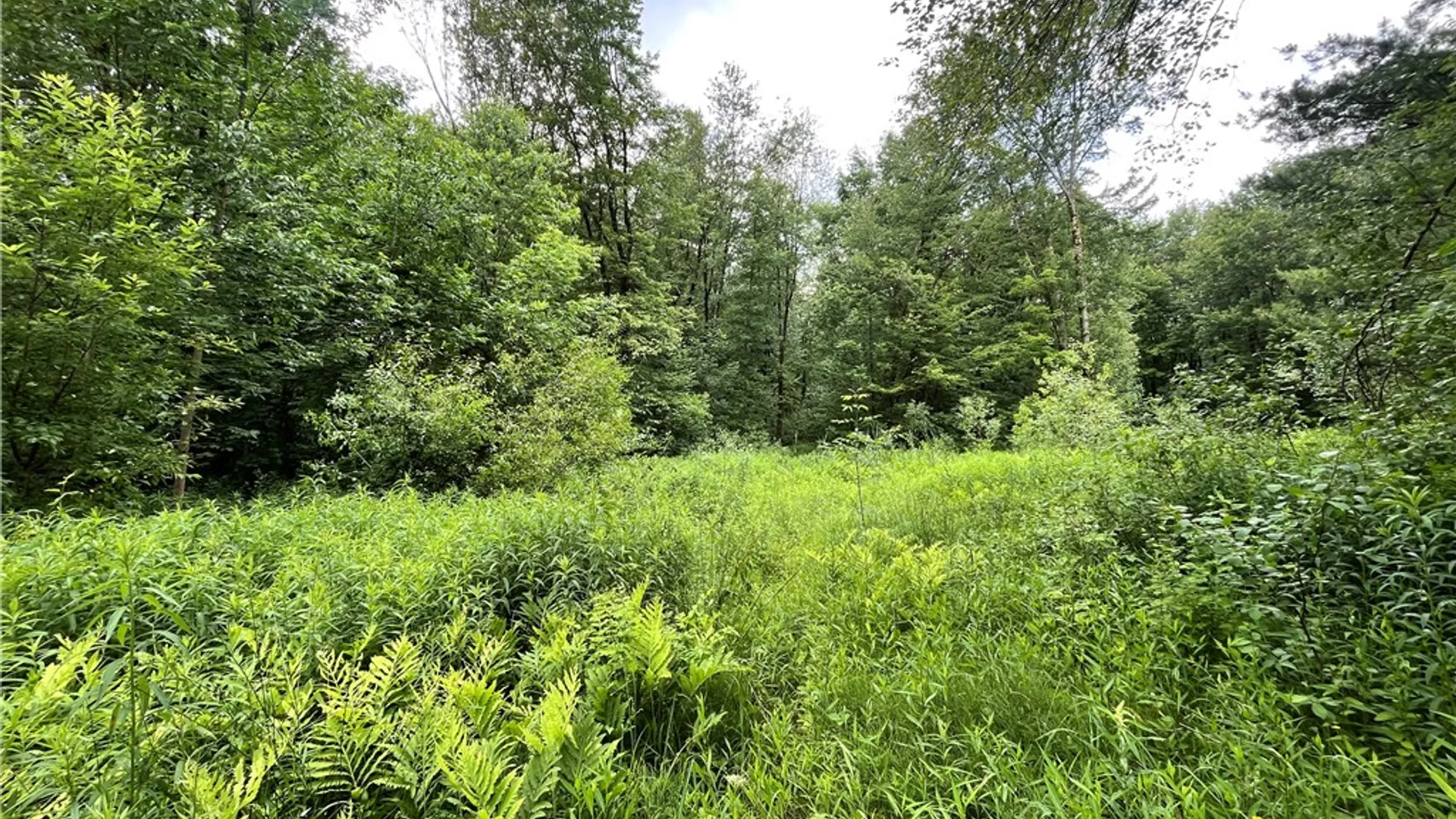 Property at 117 Albion Cross Road, Parish, NY 13131 11