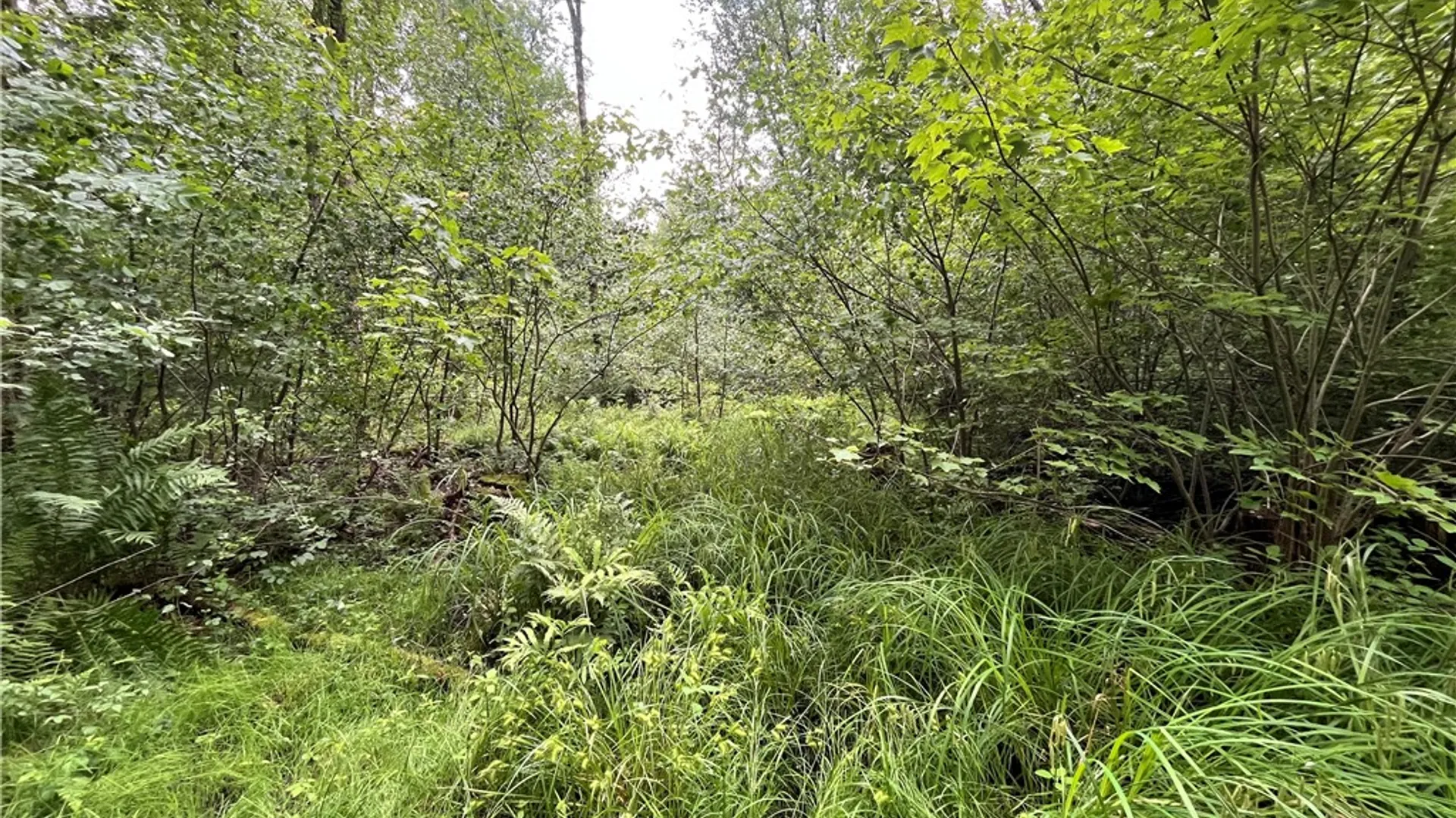 Property at 117 Albion Cross Road, Parish, NY 13131 13