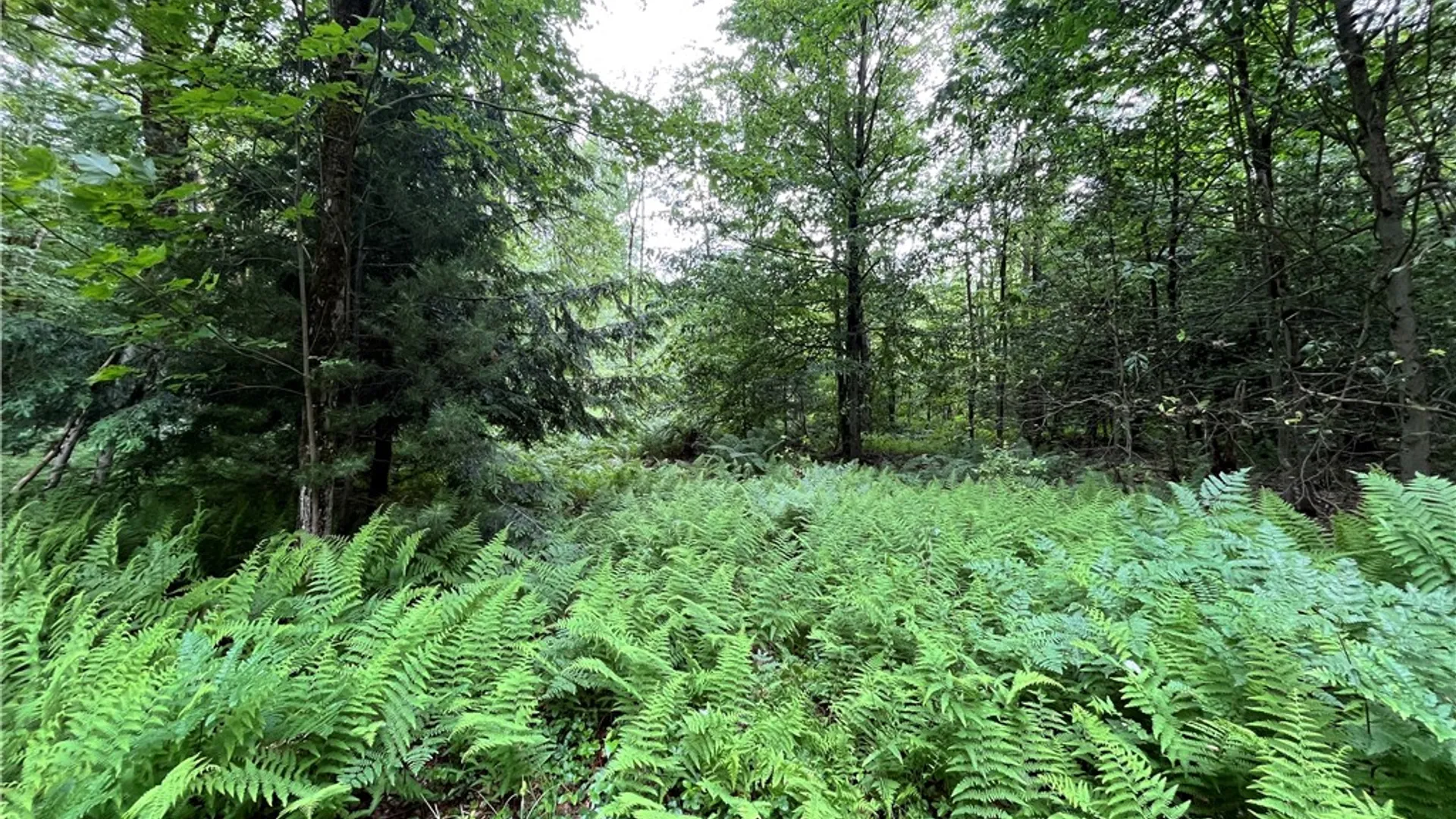 Property at 117 Albion Cross Road, Parish, NY 13131 16