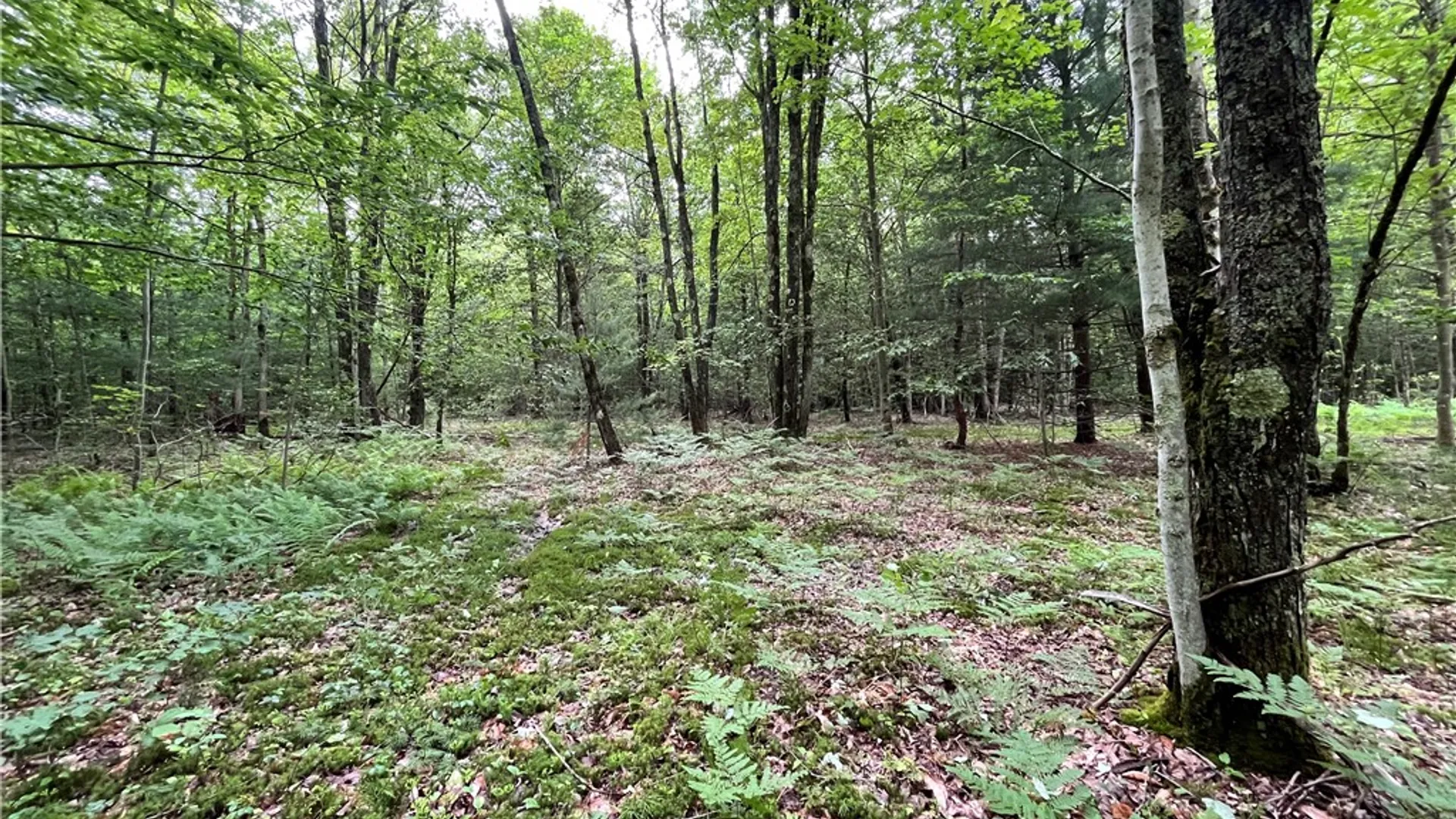 Property at 117 Albion Cross Road, Parish, NY 13131 22