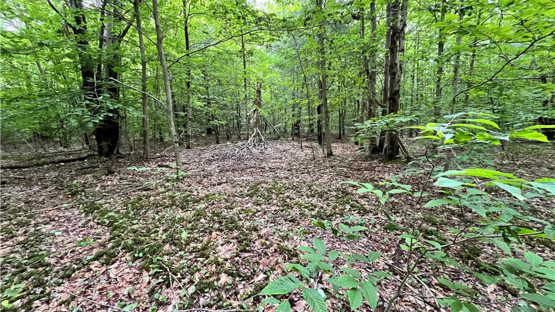 Property at 117 Albion Cross Road, Parish, NY 13131 23