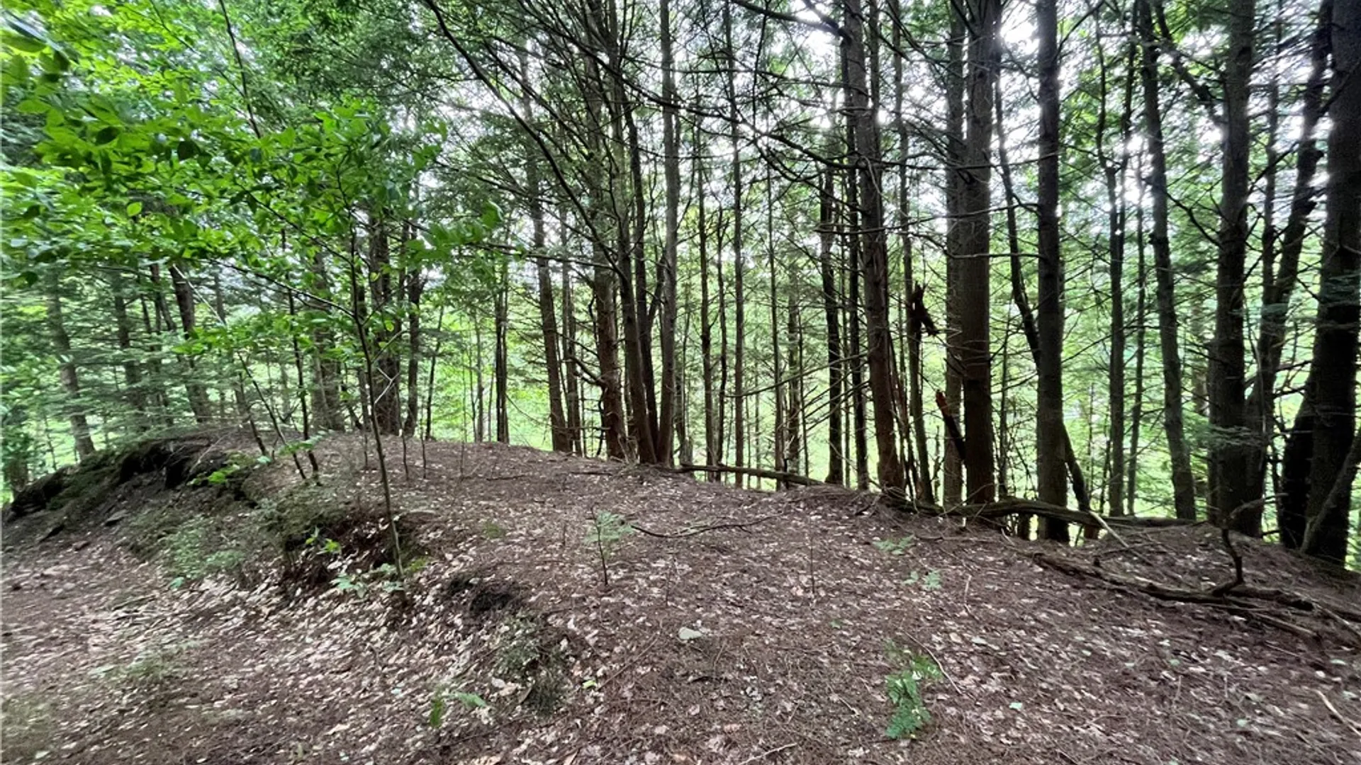 Property at 117 Albion Cross Road, Parish, NY 13131 25