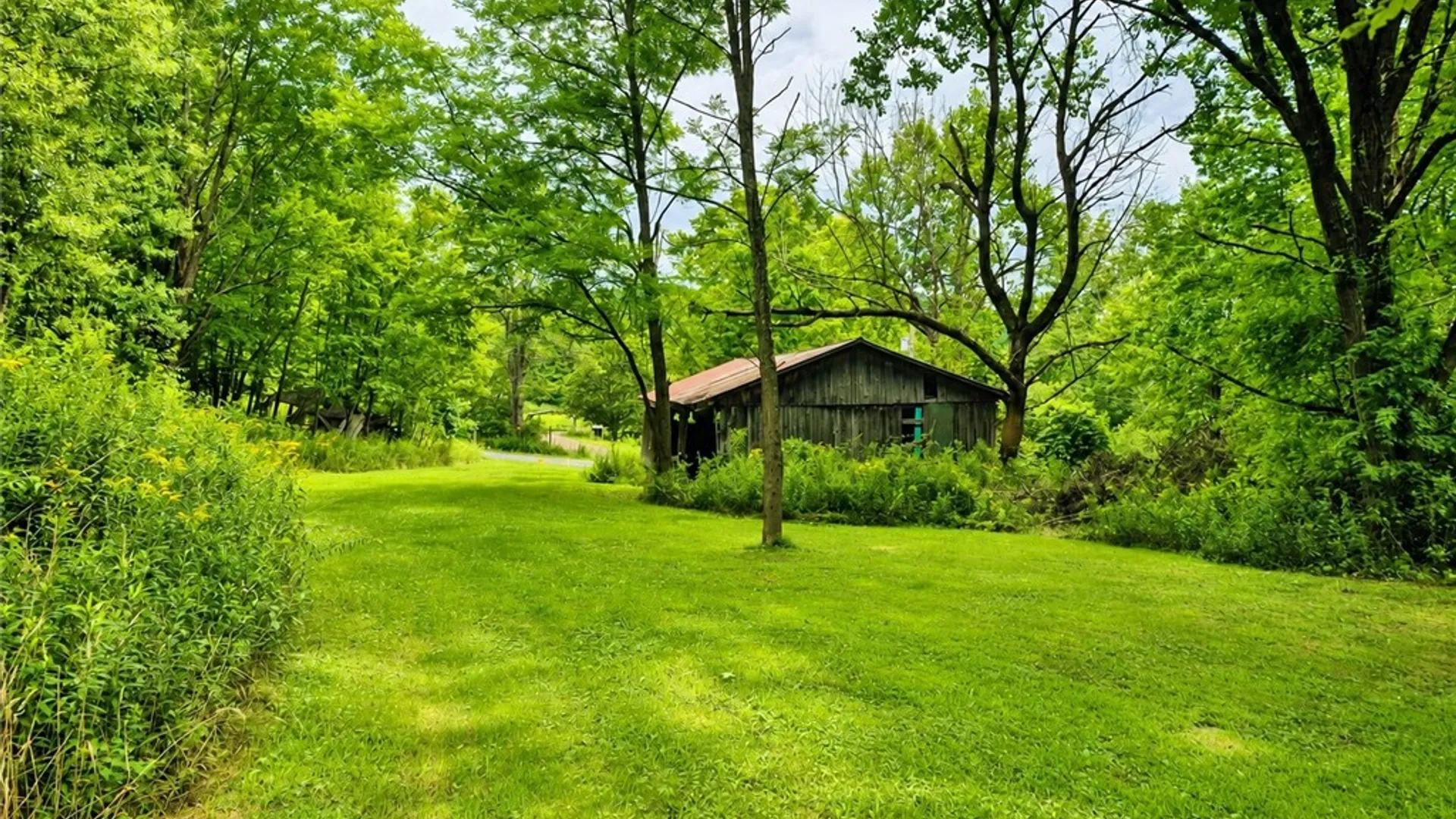 Property at 593 Blakesley Nurse Hollow Road, Afton, NY 13730 46