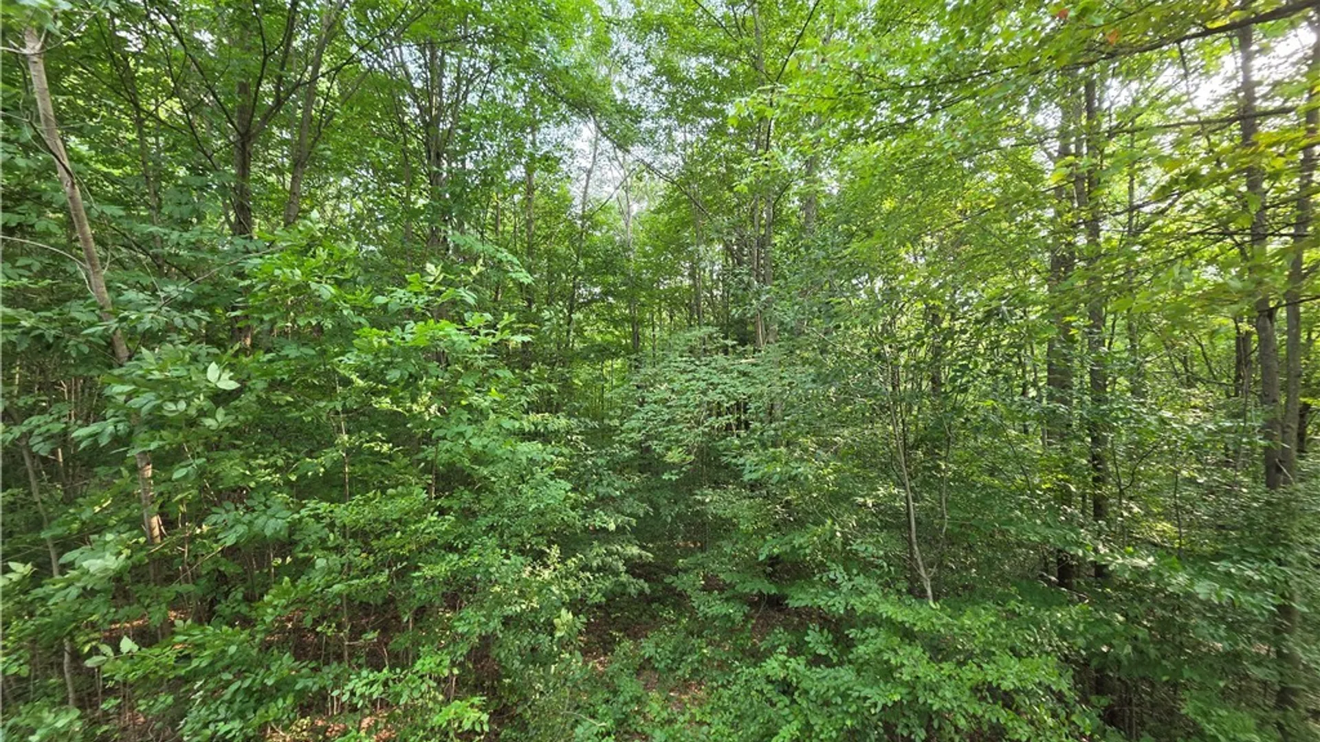 Property at 9797 White Meeting House Road, New Hudson, NY 14727 30