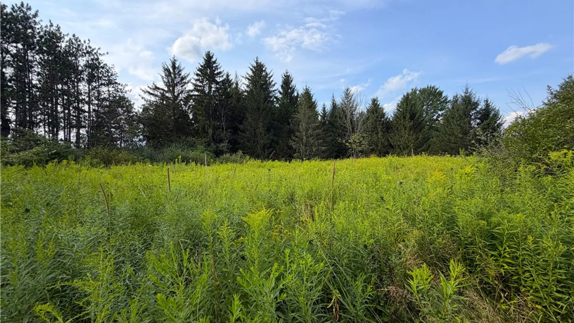 Property at 0 Michigan Road, Java, NY 14009 3
