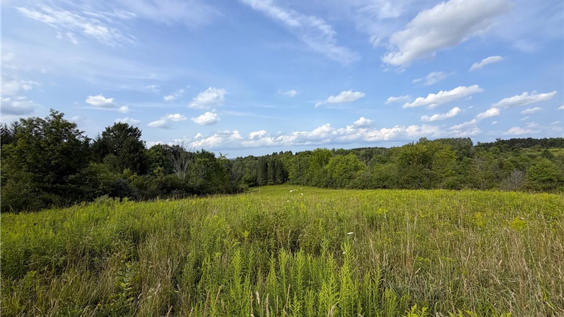 Property at 0 Michigan Road, Java, NY 14009 4