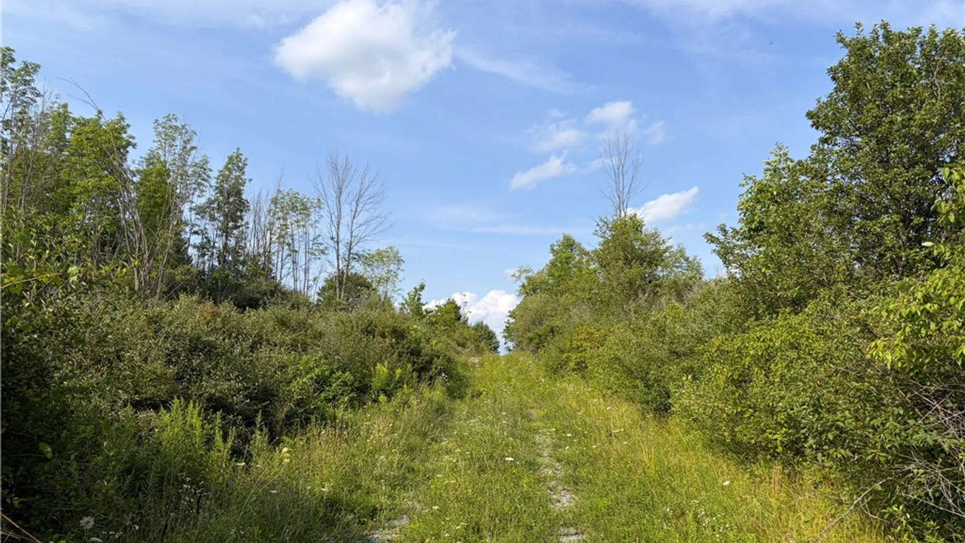 Property at 0 Michigan Road, Java, NY 14009 5