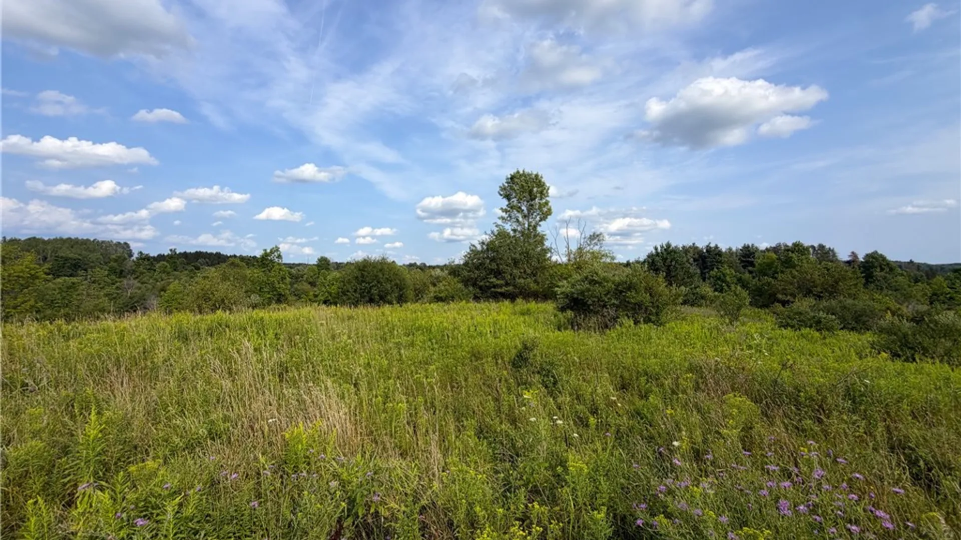 Property at 0 Michigan Road, Java, NY 14009 7