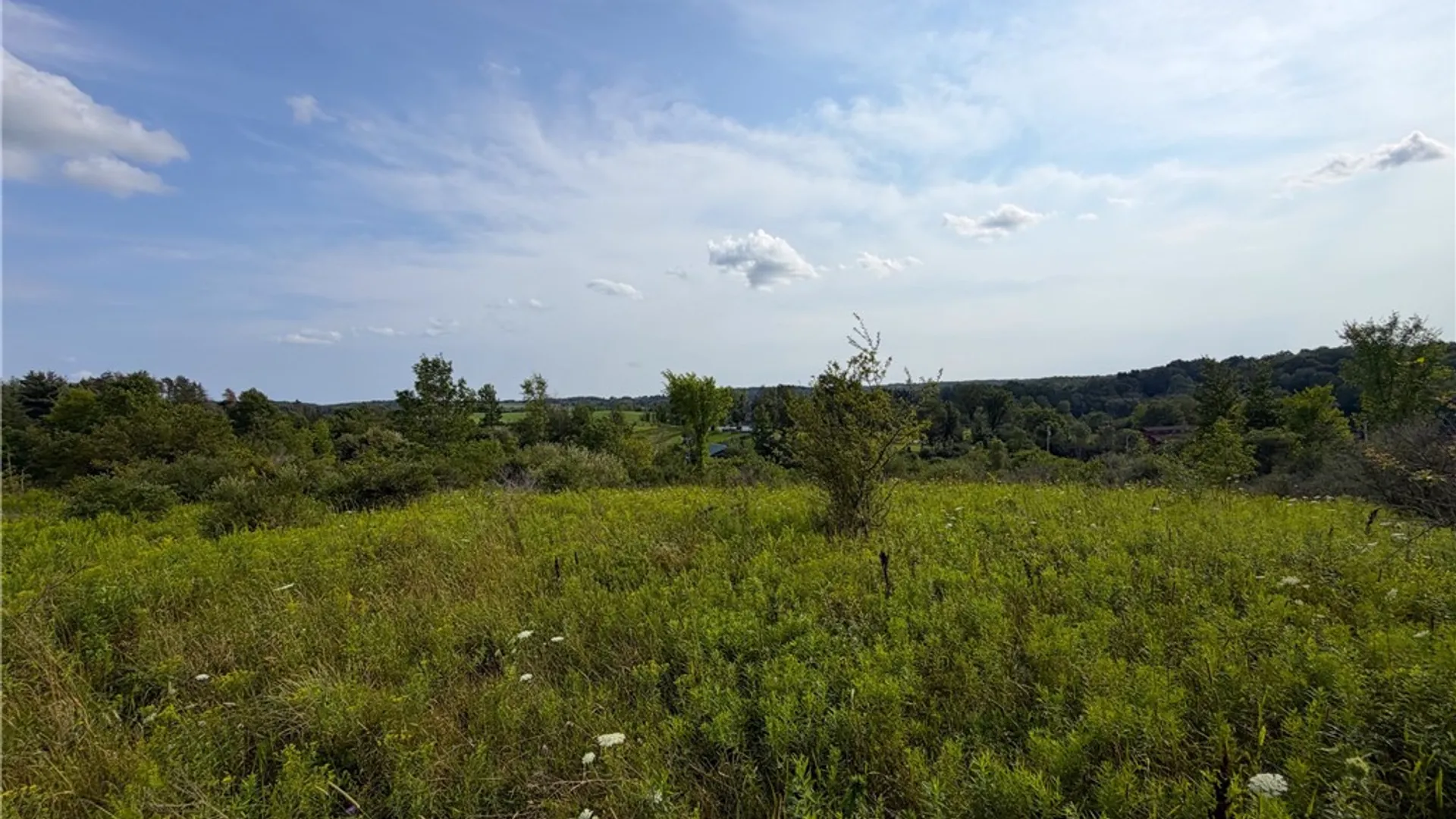 Property at 0 Michigan Road, Java, NY 14009 8