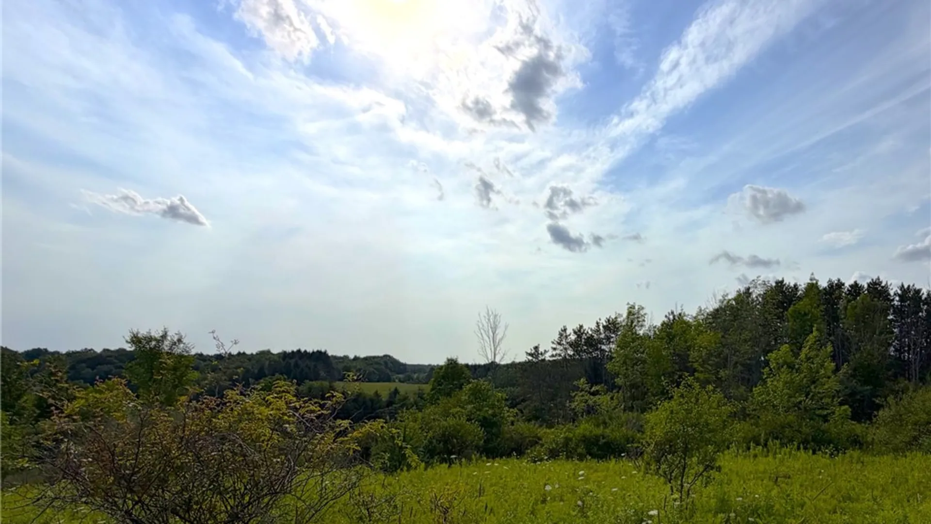 Property at 0 Michigan Road, Java, NY 14009 9