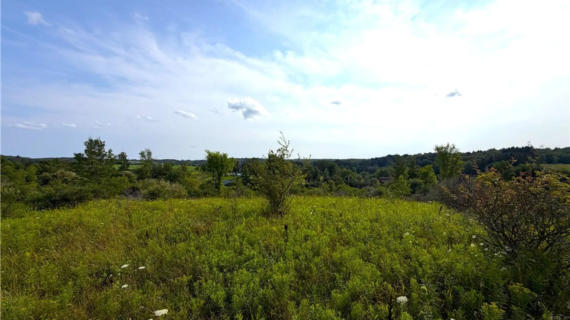 Property at 0 Michigan Road, Java, NY 14009 11