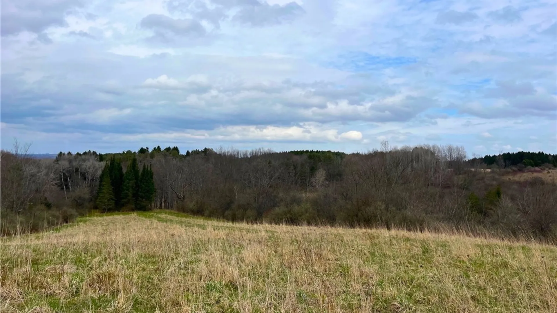 Property at 0 Michigan Road, Java, NY 14009 12