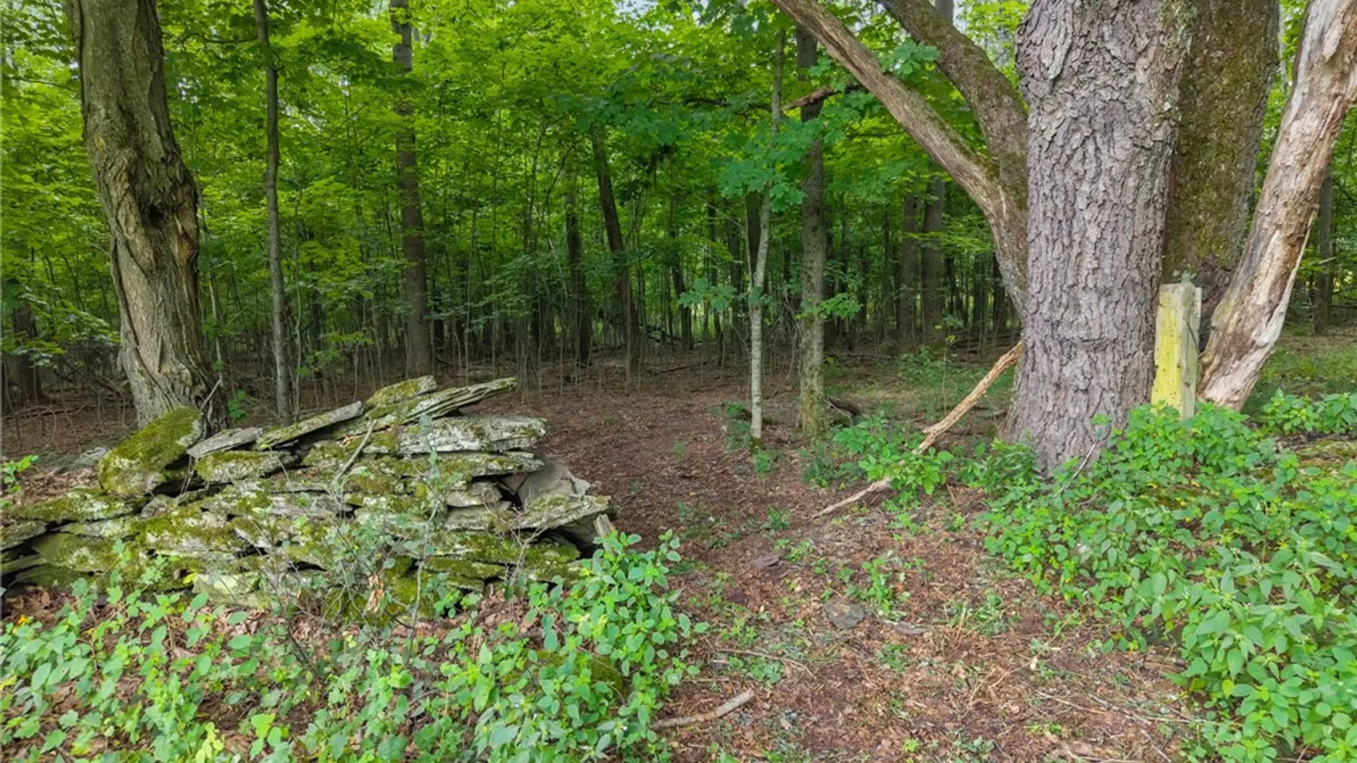 Property at 1123 Mcmurdy Hill Road, Kortright, NY 13788 49