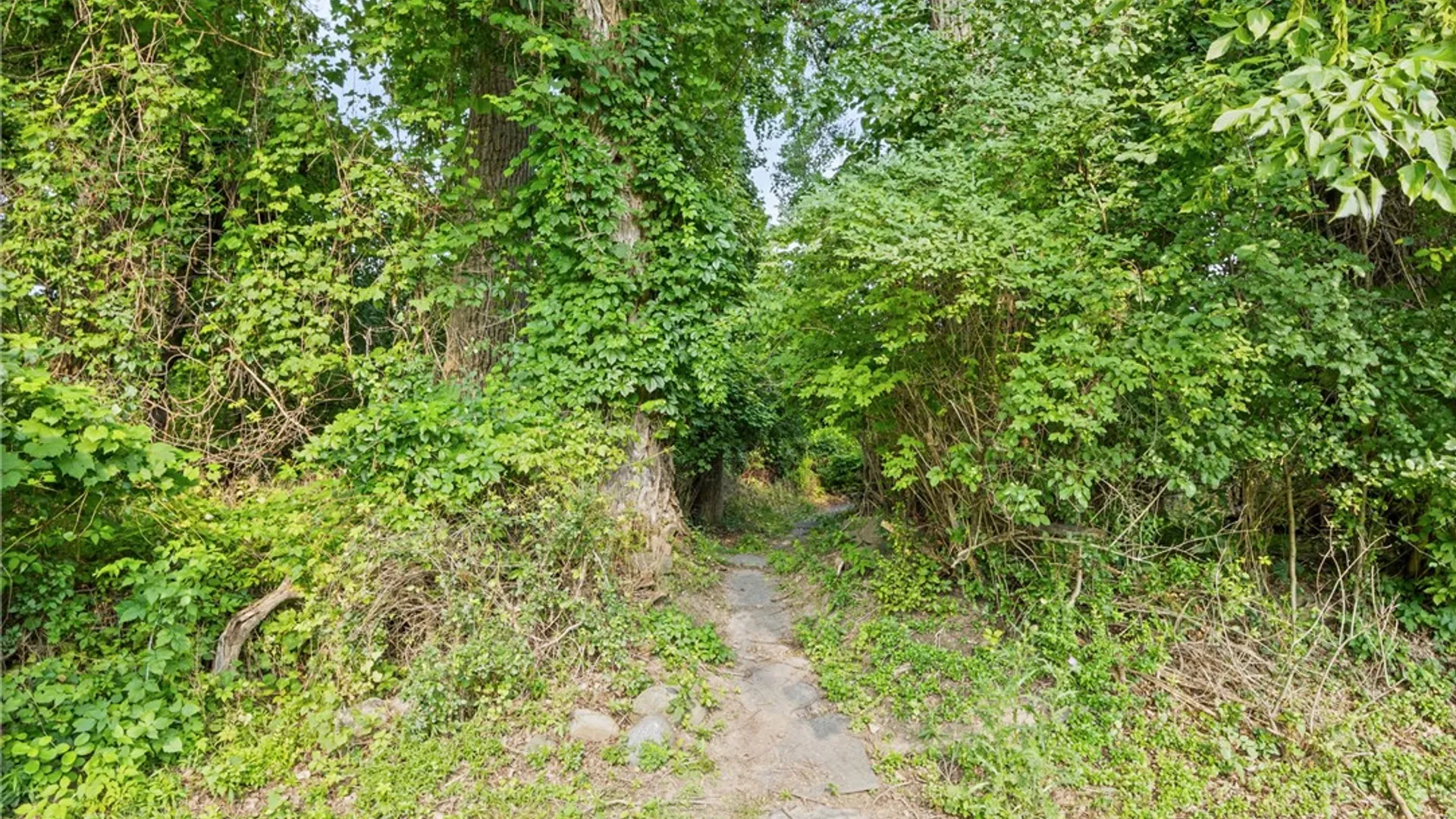 Property at 32 Framingham Lane, Pittsford, NY 14534 45