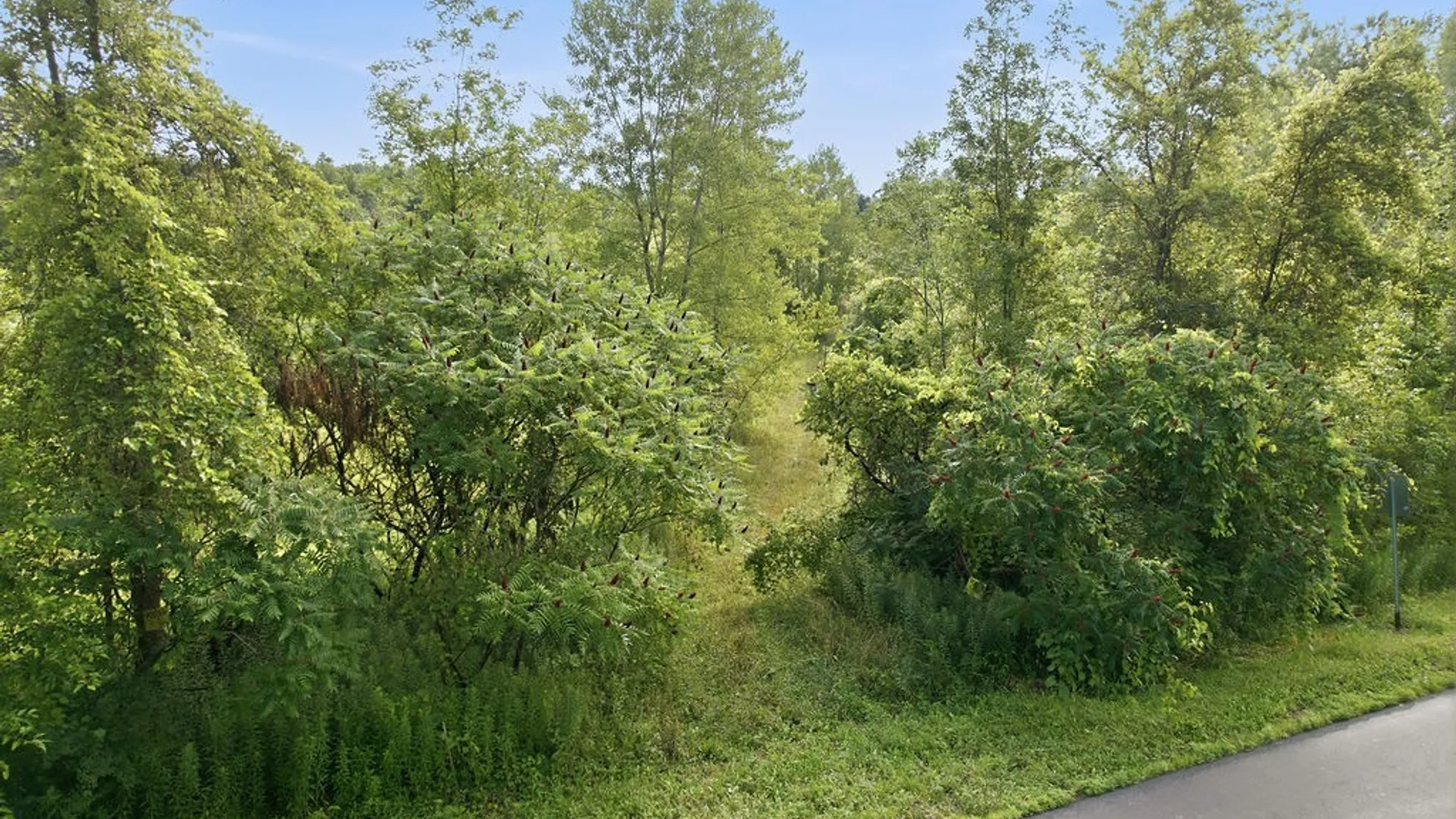 Property at 0 County Rt 25, Minetto, NY 13126 13