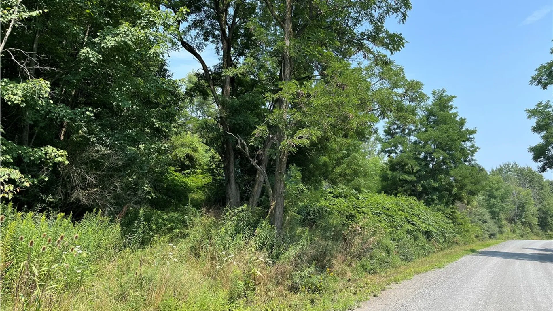 Property at 8857 Stevens Road, Lindley, NY 14858 19