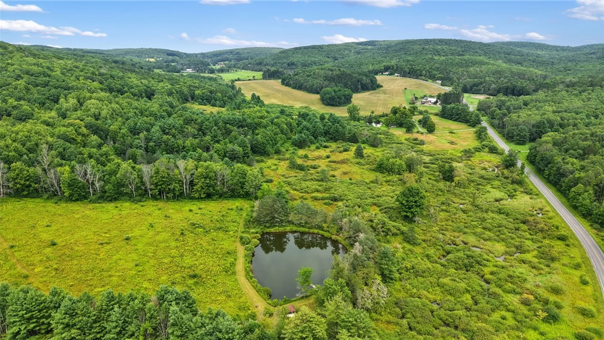 Property at 812 Irish Settlement Road, Dryden, NY 13068 8