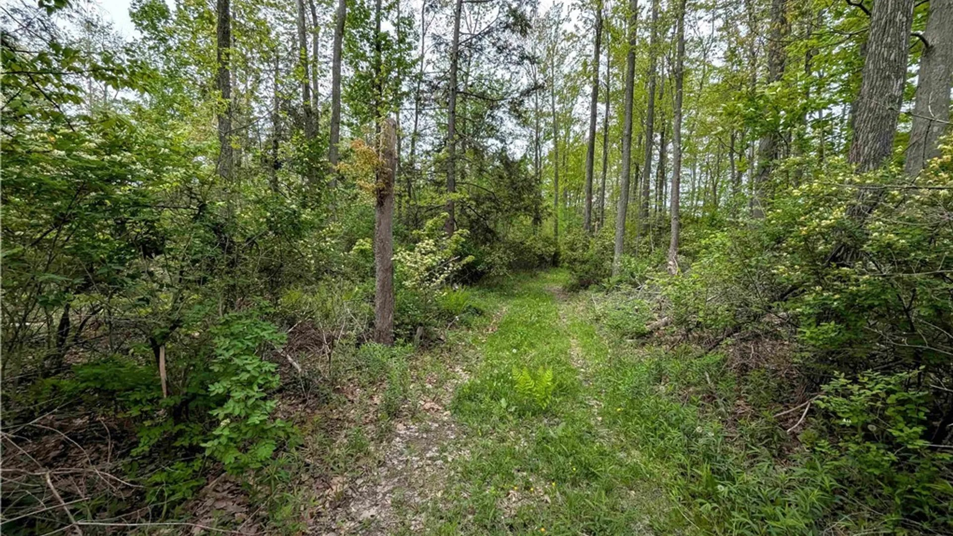 Property at Stewart Road, Tuscarora, NY 14801 11