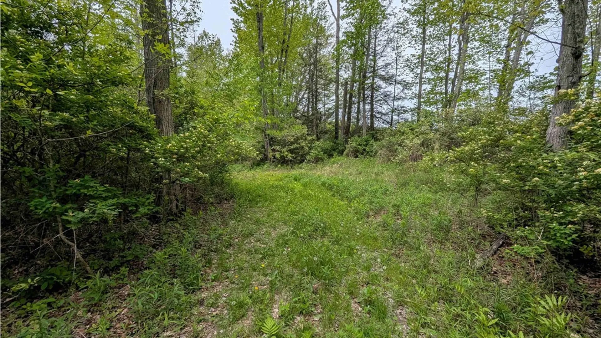 Property at Stewart Road, Tuscarora, NY 14801 12