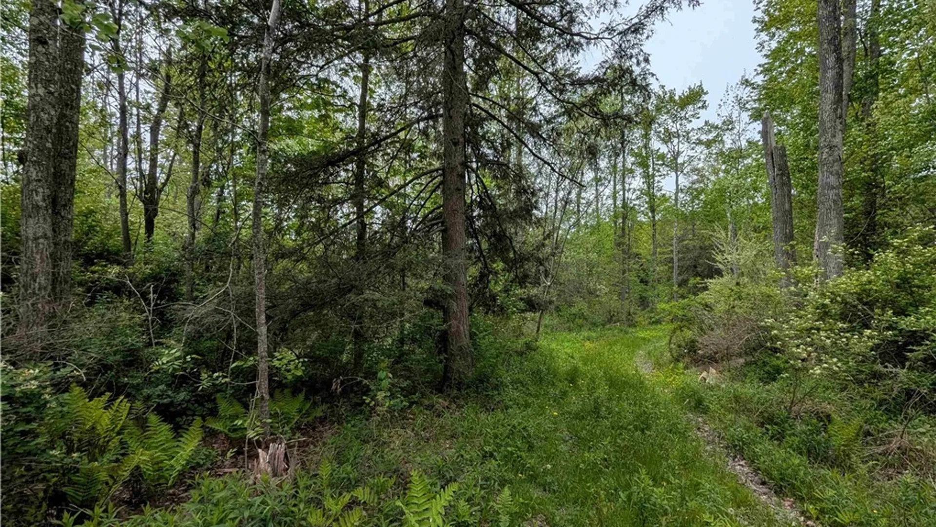 Property at Stewart Road, Tuscarora, NY 14801 13