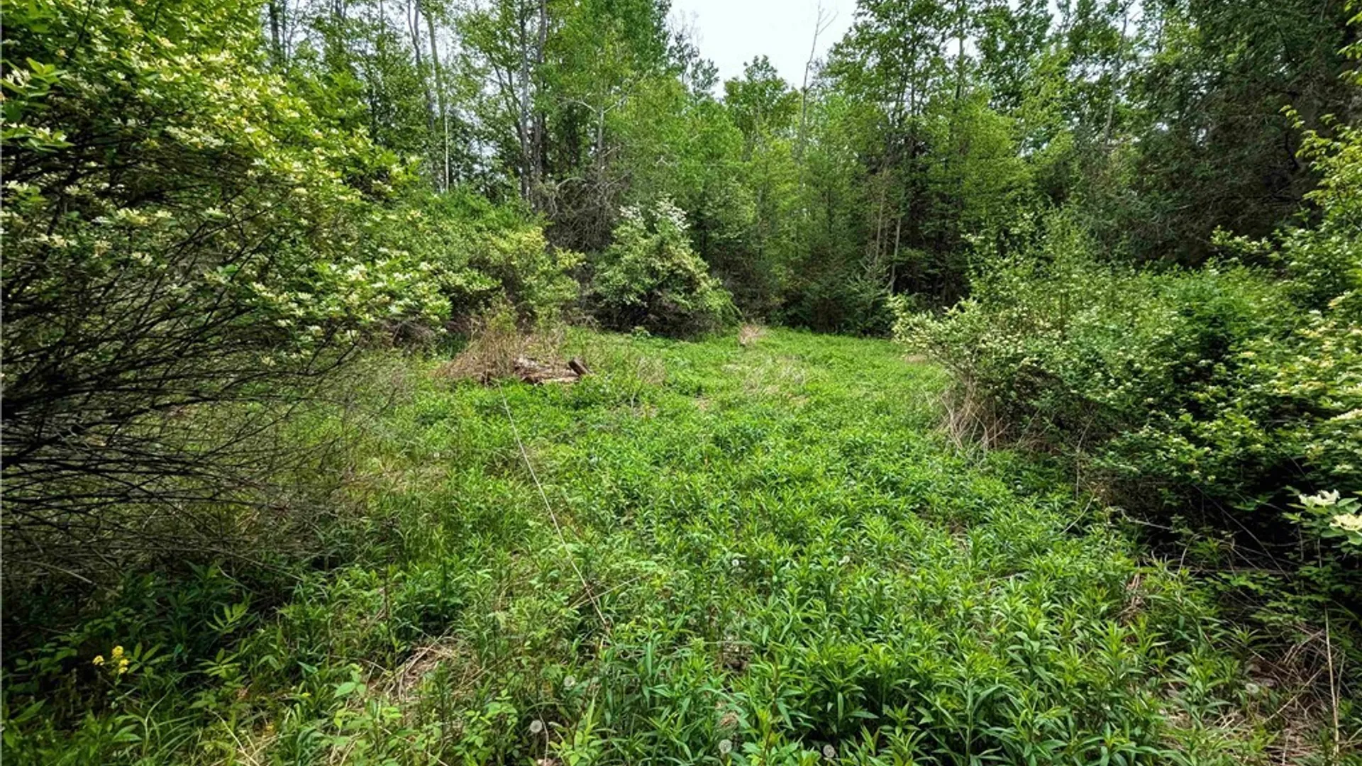 Property at Stewart Road, Tuscarora, NY 14801 18
