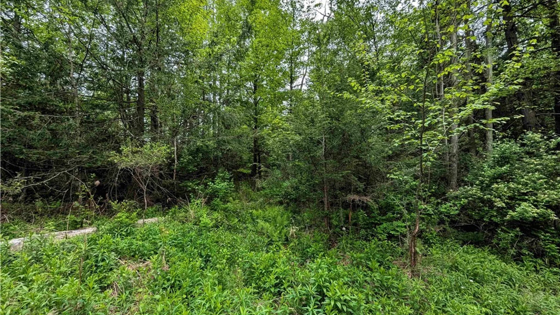 Property at Stewart Road, Tuscarora, NY 14801 19