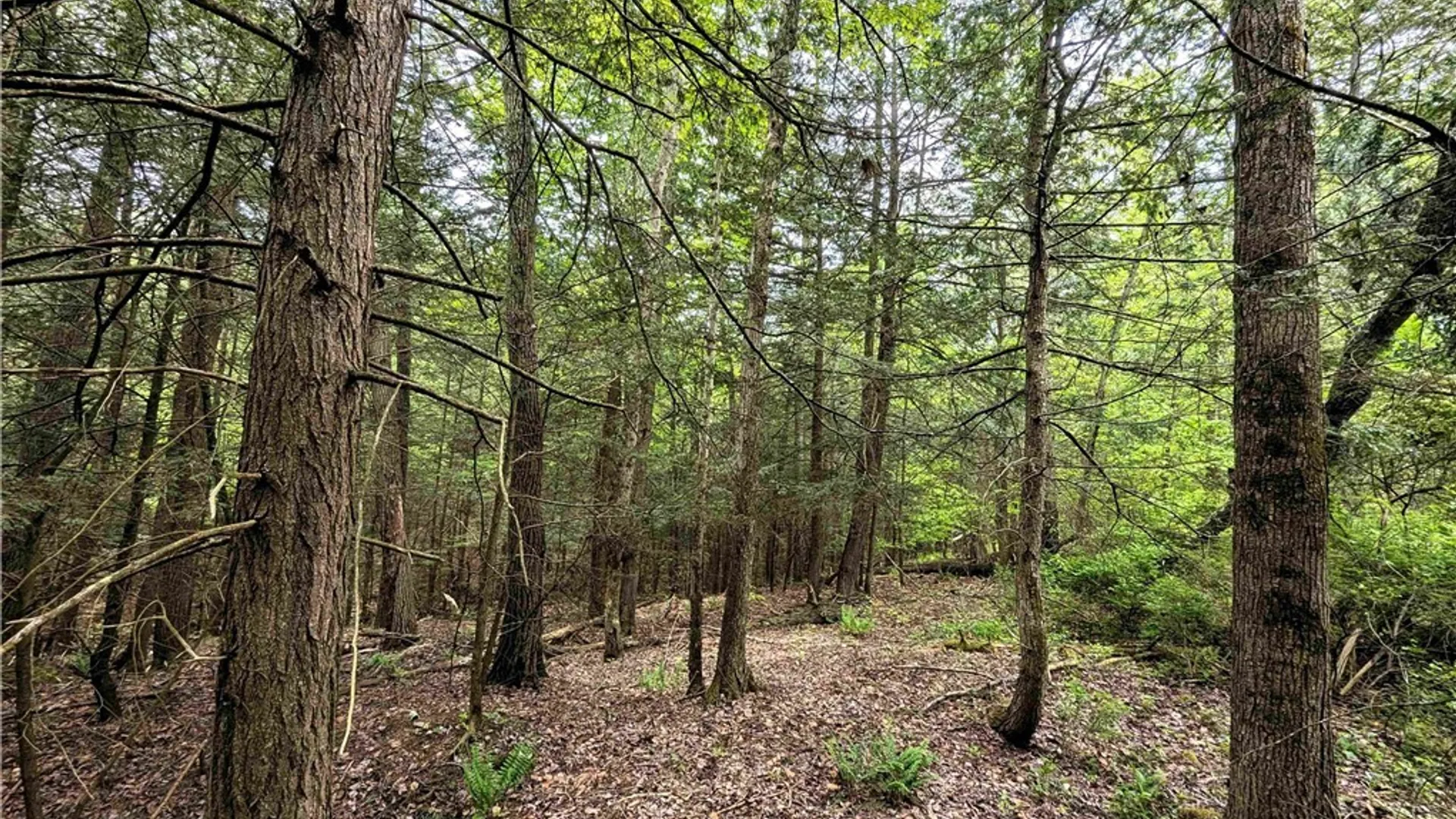 Property at Stewart Road, Tuscarora, NY 14801 20