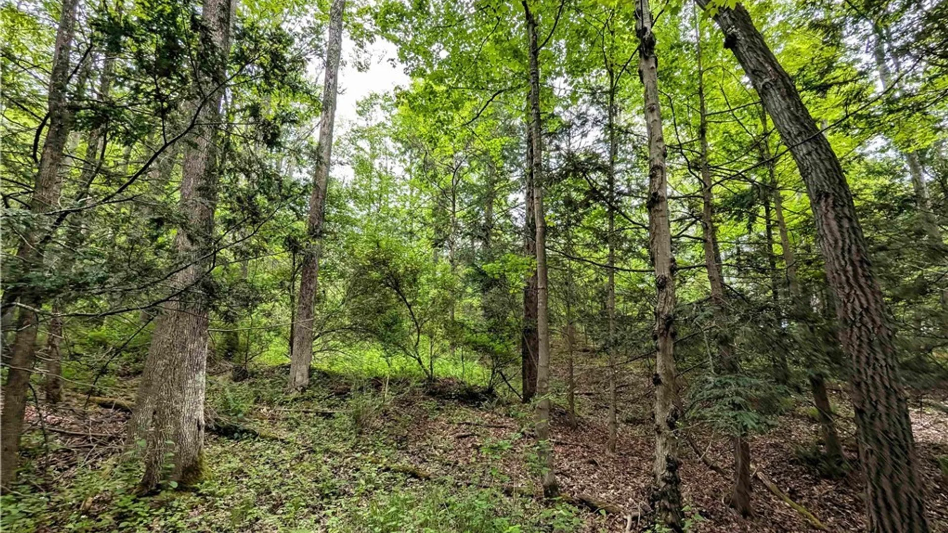 Property at Stewart Road, Tuscarora, NY 14801 21