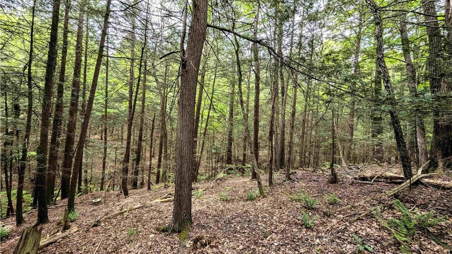 Property at Stewart Road, Tuscarora, NY 14801 22