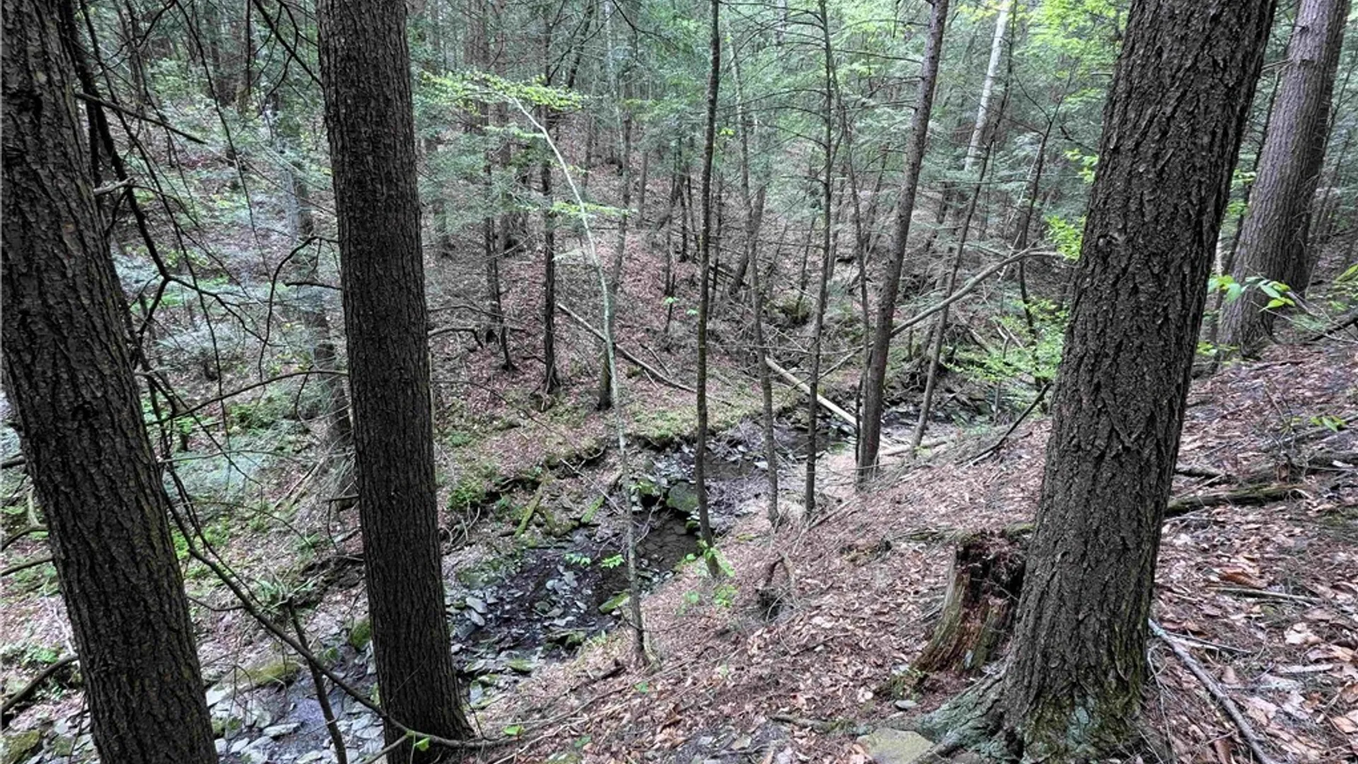 Property at Stewart Road, Tuscarora, NY 14801 24