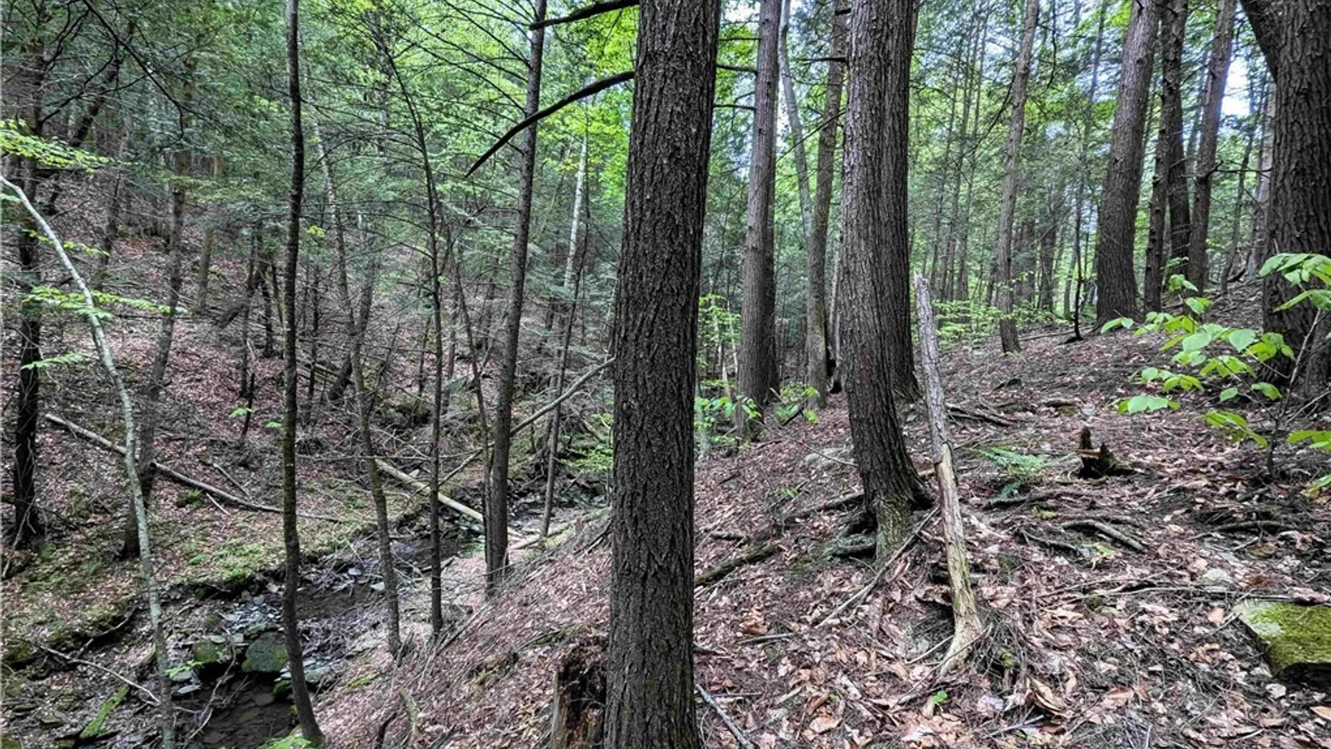 Property at Stewart Road, Tuscarora, NY 14801 25