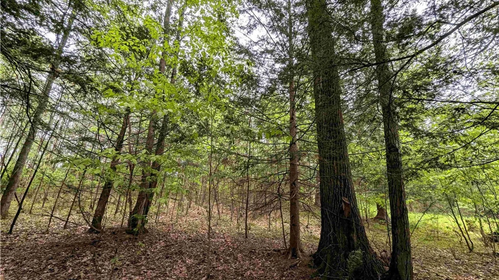 Property at Stewart Road, Tuscarora, NY 14801 26